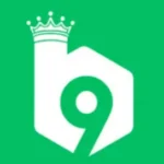 b9-game-logo